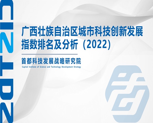 狂操骚屄【成果发布】广西壮族自治区城市科技创新发展指数排名及分析（2022）